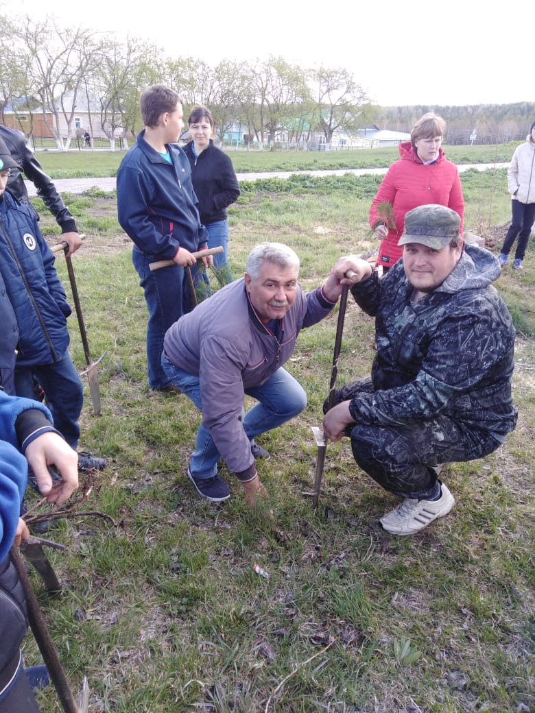 «Акция «Посади кедр»».